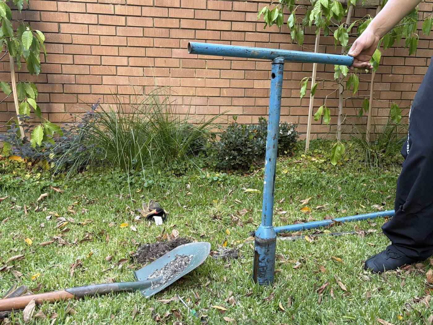 Hand-auger investigation in a Bondi Beach strata courtyard