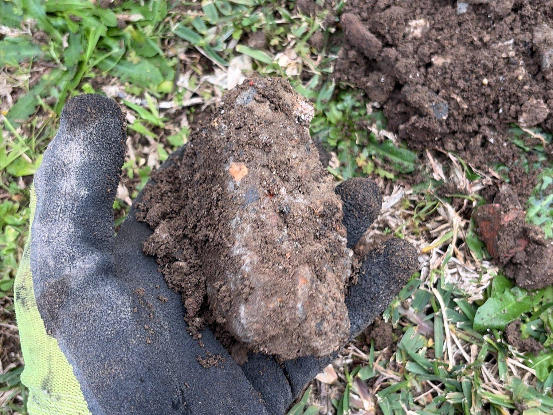 A gloved hand holding a lump of concrete and brick rubble lifted from the fill in a Bexley North backyard