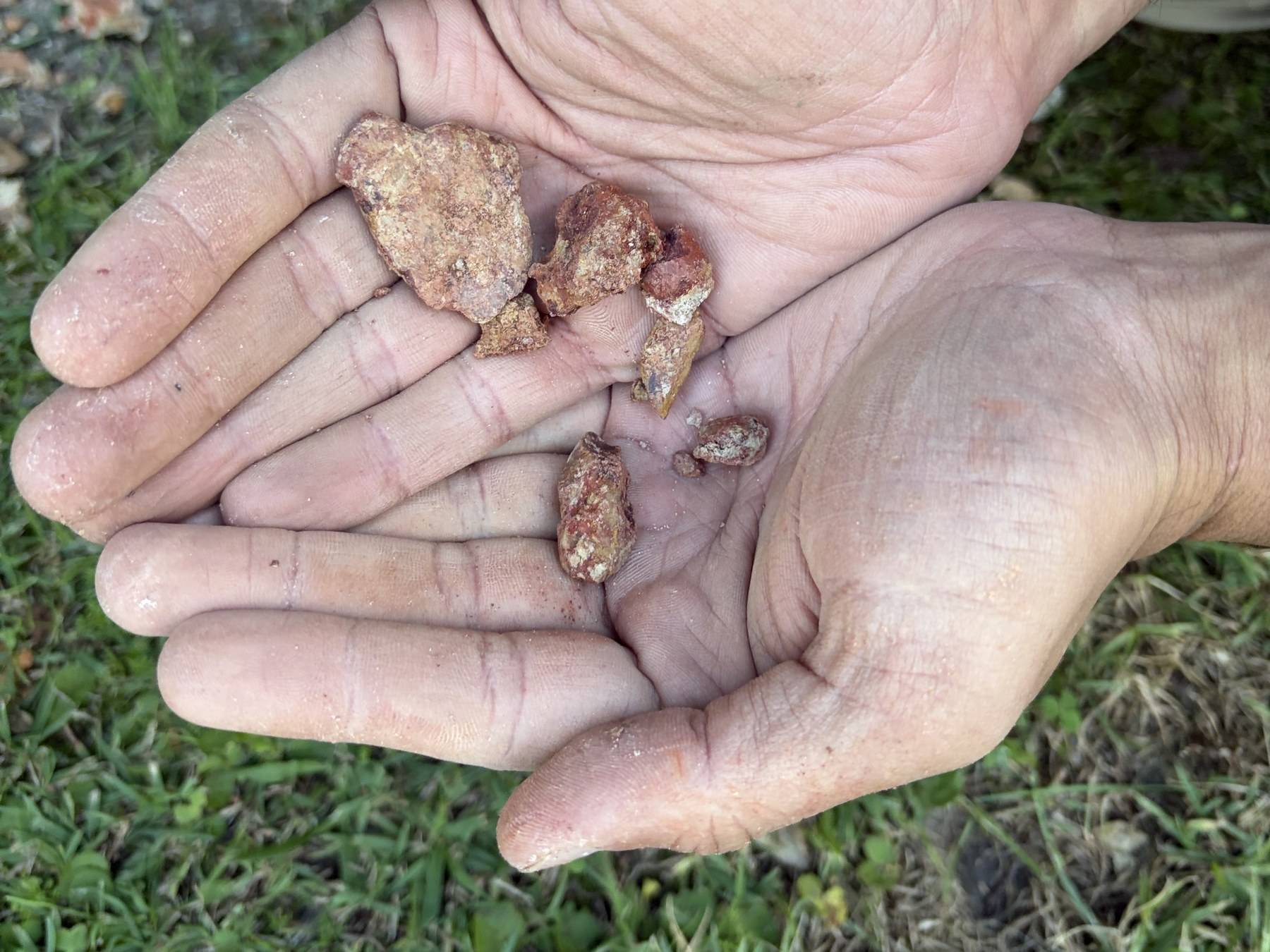 Cupped hands holding fragments of weathered Newport Formation rock brought up from a hand-auger borehole