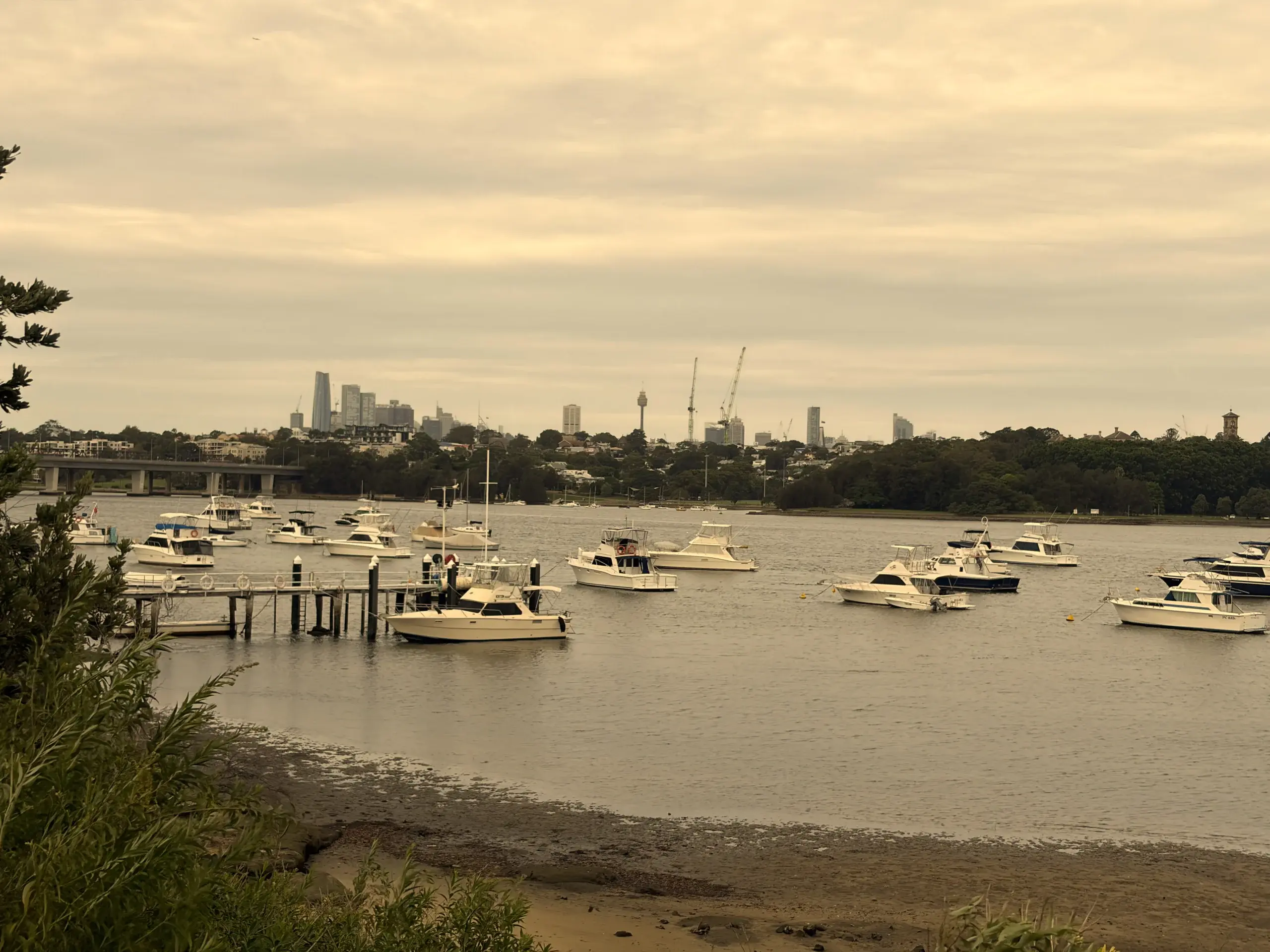 Boutique Geotechnical Consultancy Sydney - SFGEO Canada Bay Workspace