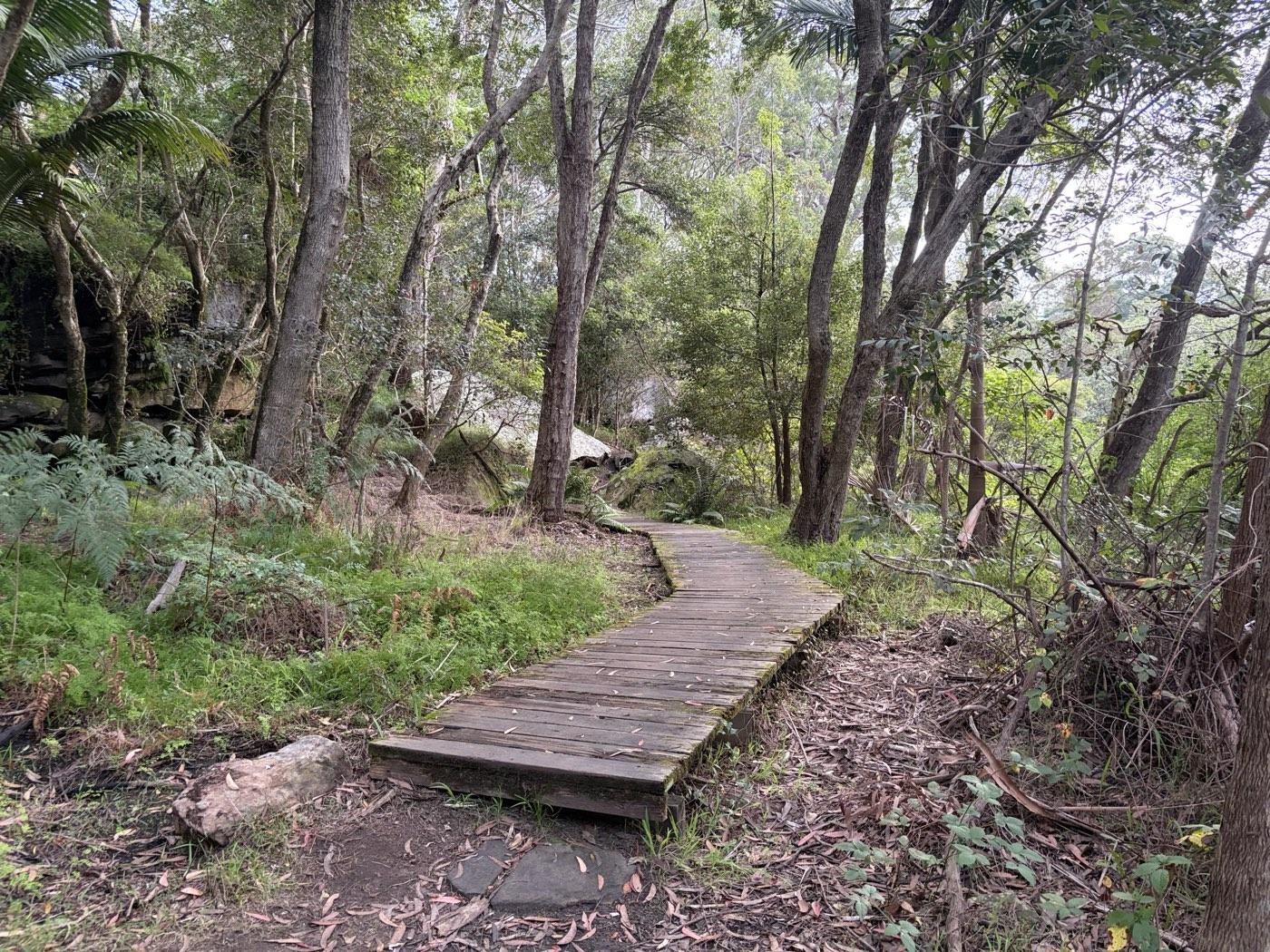 Boardwalk through the tidal mangroves at Buffalo Creek Reserve