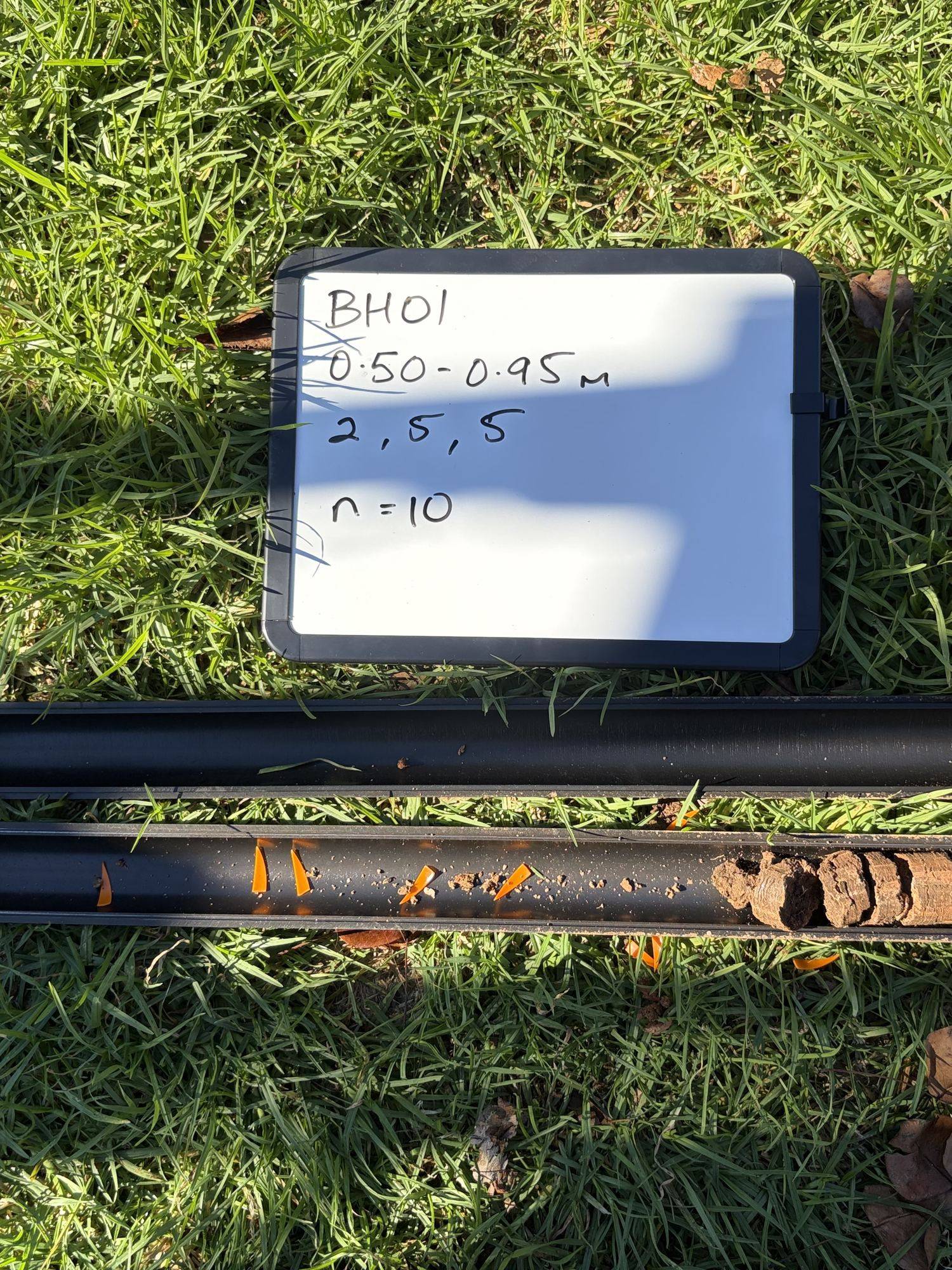 Split-spoon sample opened beside the field board recording BH01, 0.50-0.95 m and an SPT N value of 10