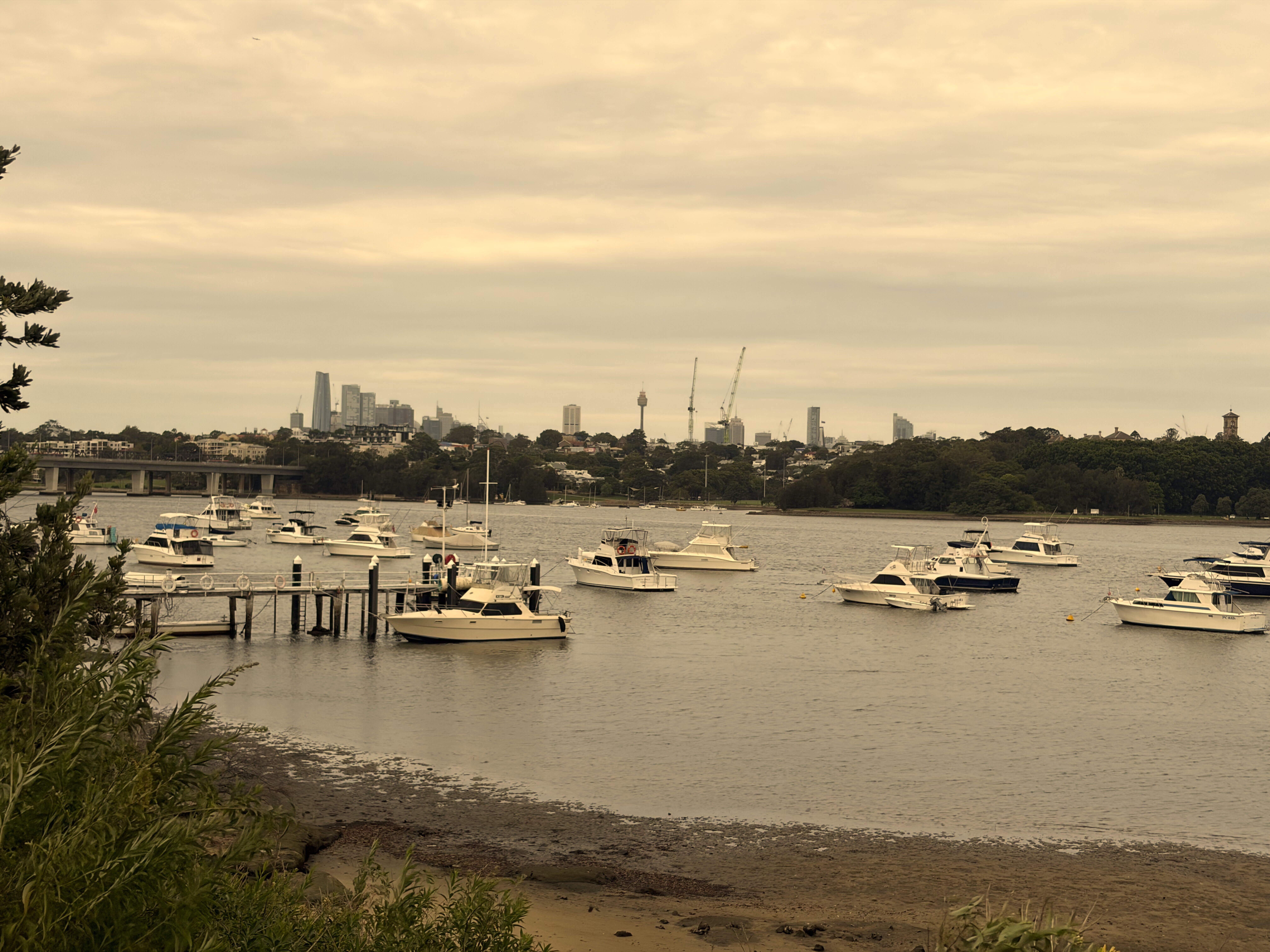 Boutique Geotechnical Consultancy Sydney - SFGEO Canada Bay Workspace